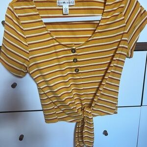 Eye Candy Gold and Black Crop Tie Front Blouse